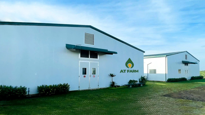 Hình ảnh Farm