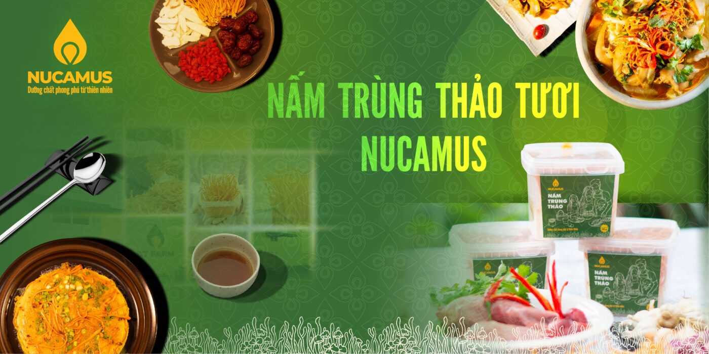 Nấm Trùng Thảo Tươi Nucamus