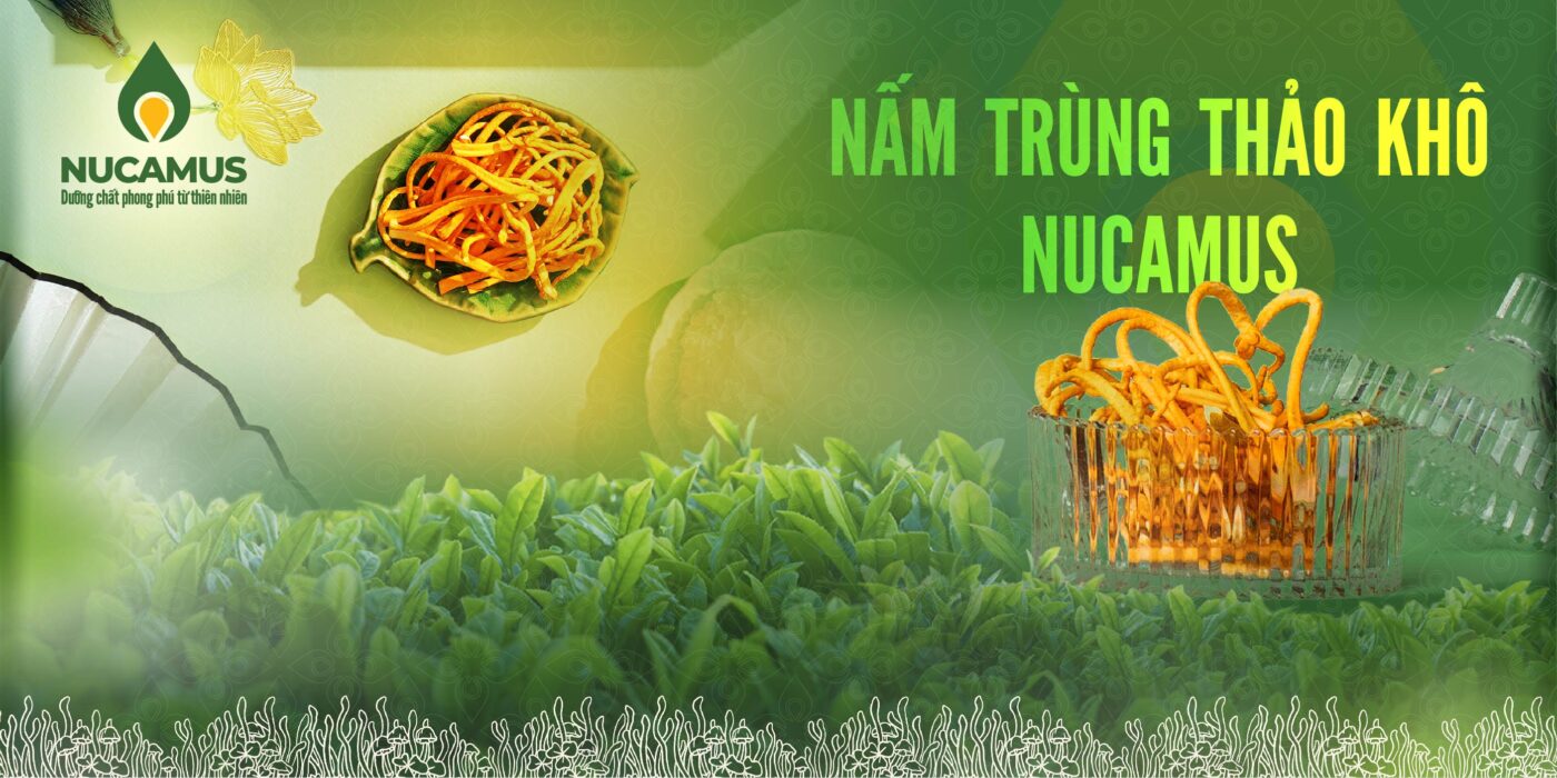 Nấm trùng thảo khô Nucamus